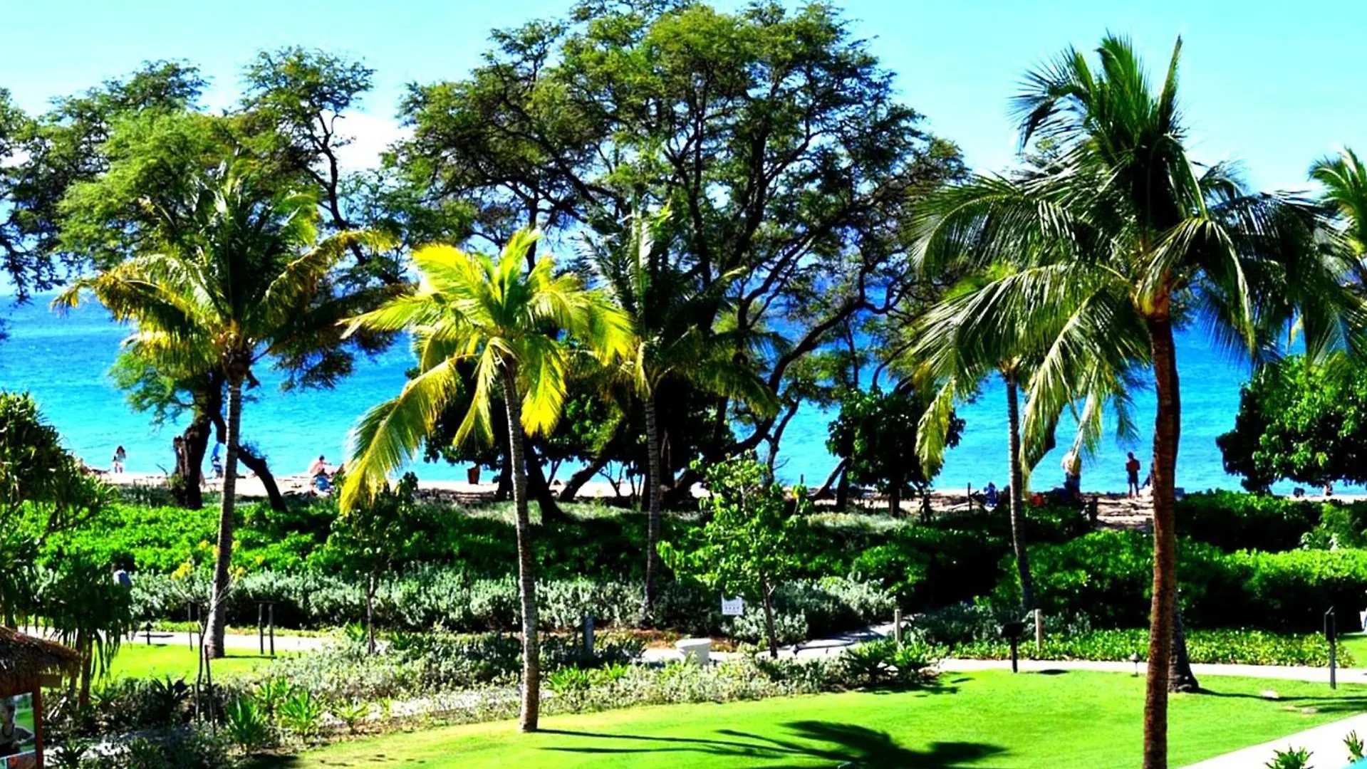Lägenhet Kbm Resorts Free Car Honua Kai Hokulani Ocean View 2Bedroom Condo Hkh-204 Ocean View Easy Beach And Pool Access Kaanapali USA